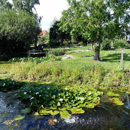 "Balmgarten" Im Naturpark Usedom, Bio Solarhaus Mit Grossem Garten Exteriér fotografie