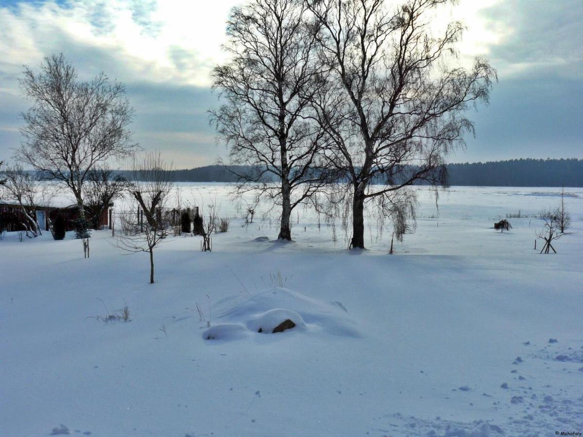 "Balmgarten" Im Naturpark Usedom, Bio Solarhaus Mit Grossem Garten Exteriér fotografie