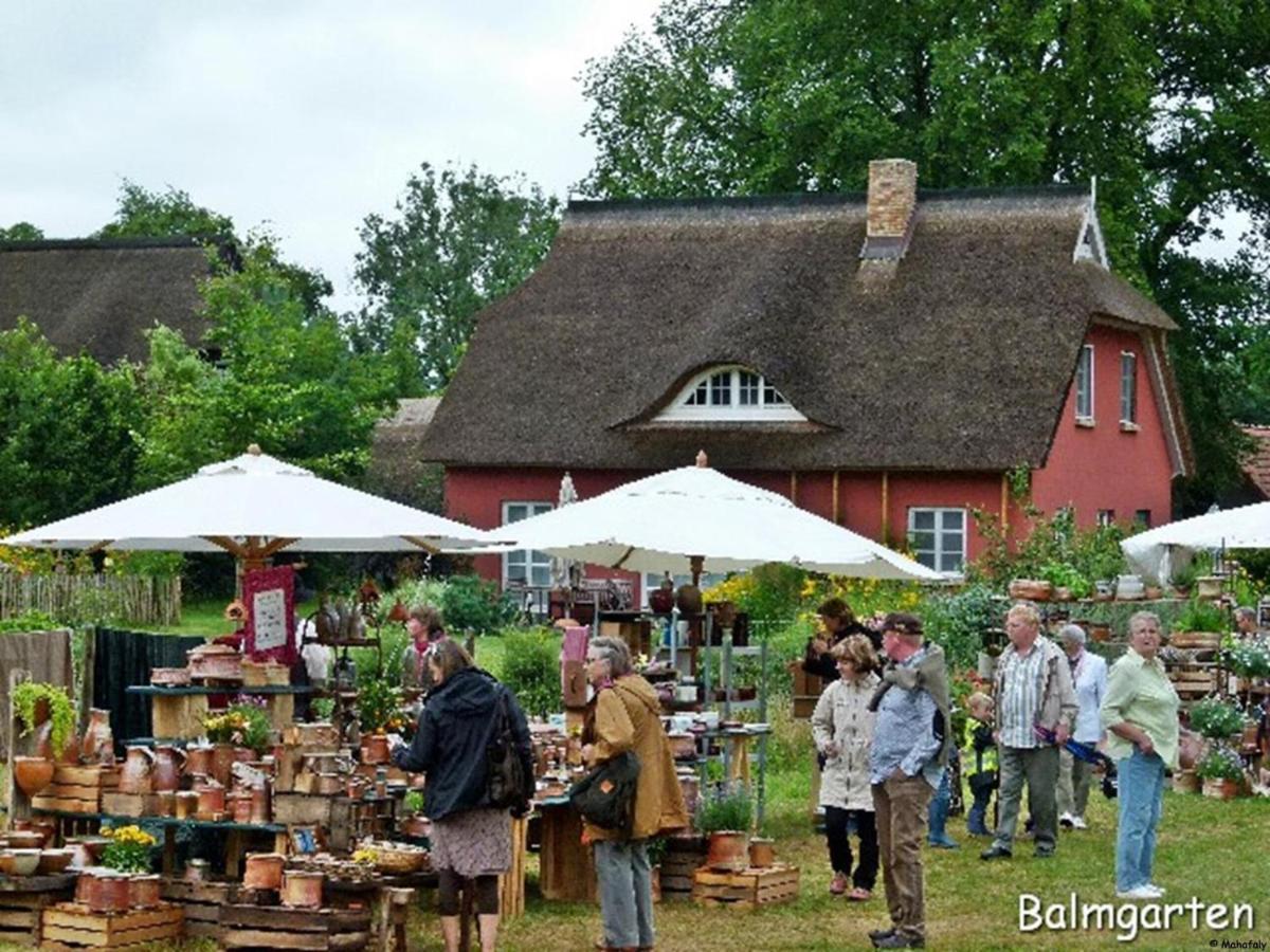 "Balmgarten" Im Naturpark Usedom, Bio Solarhaus Mit Grossem Garten Exteriér fotografie