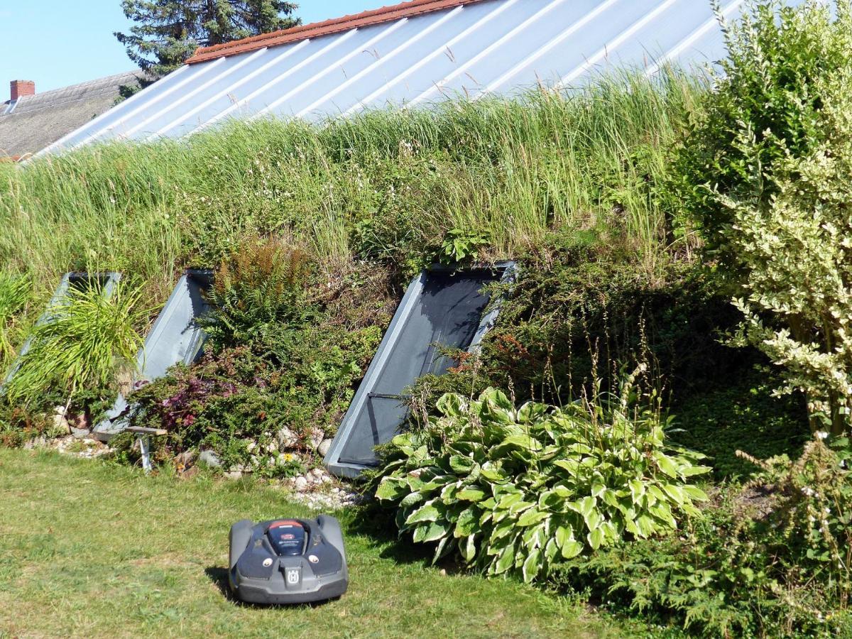 "Balmgarten" Im Naturpark Usedom, Bio Solarhaus Mit Grossem Garten Exteriér fotografie