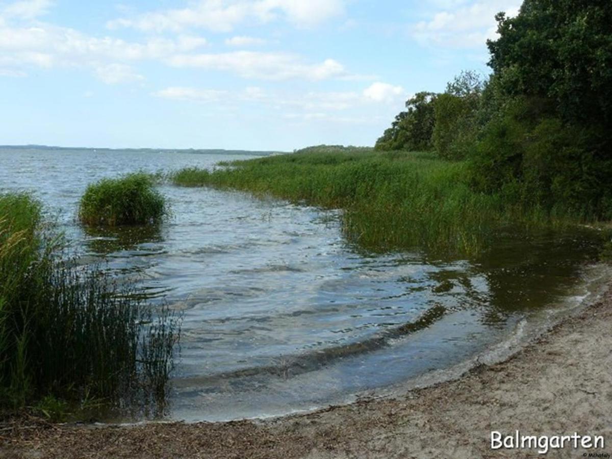 "Balmgarten" Im Naturpark Usedom, Bio Solarhaus Mit Grossem Garten Exteriér fotografie