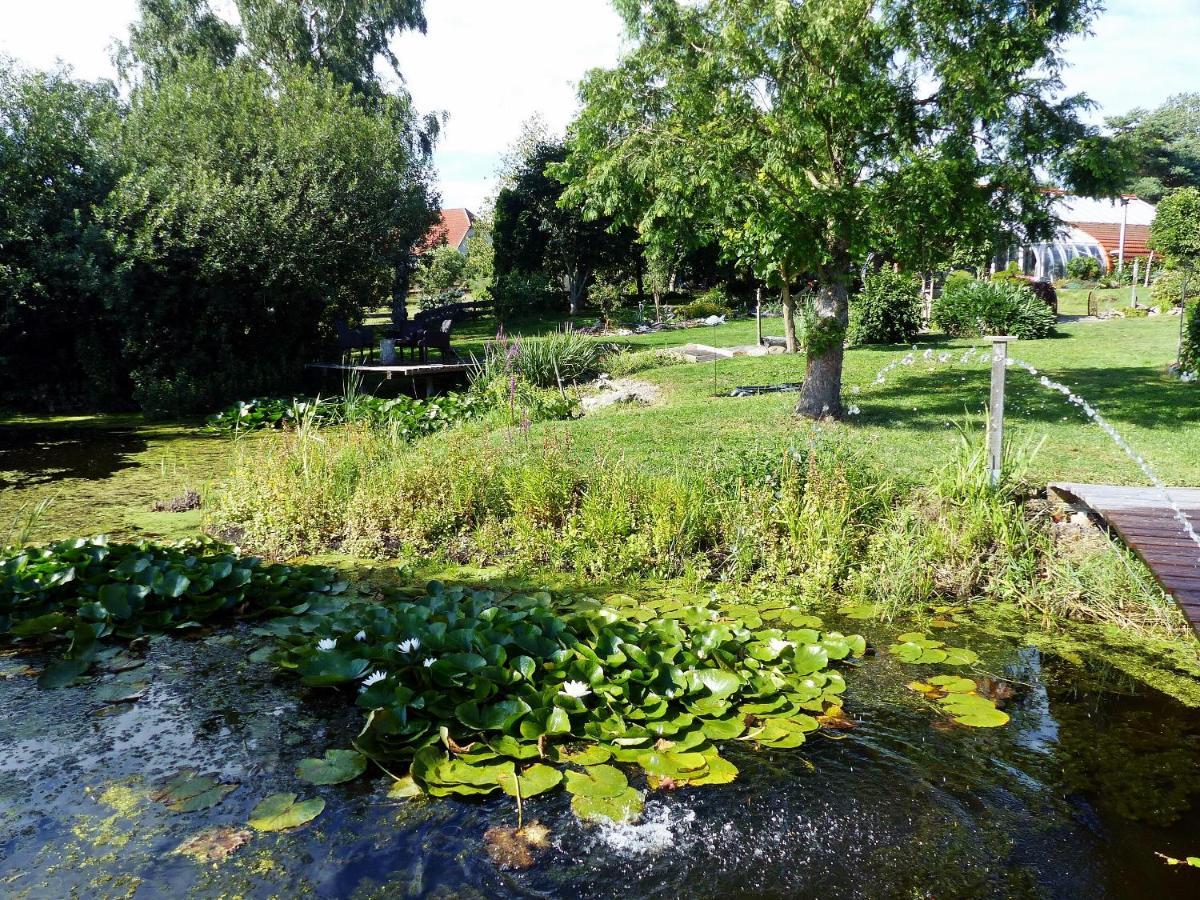 "Balmgarten" Im Naturpark Usedom, Bio Solarhaus Mit Grossem Garten Exteriér fotografie
